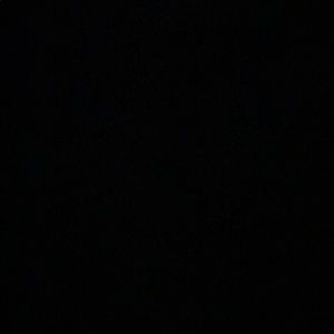 Meet your Posher, Evelyn